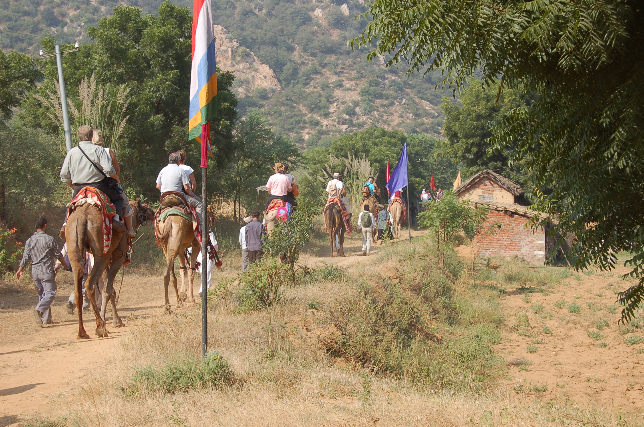 Image from Farm Lunch - Samode